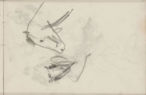 Head of a horse