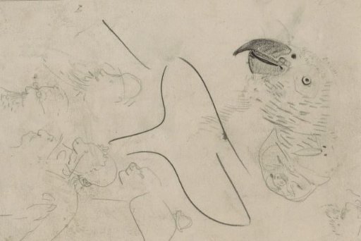 Study Sheet, Including a Head of a Parrot