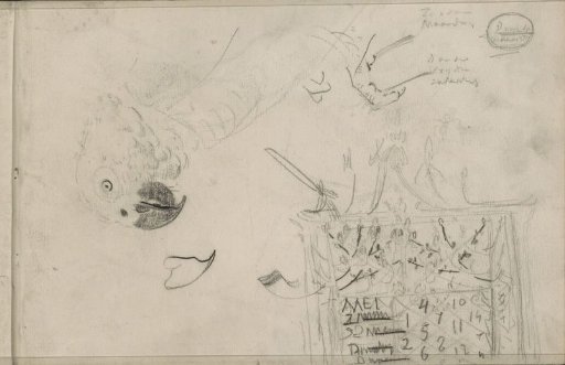 Head of a Parrot and a Design for a Monthly Calendar