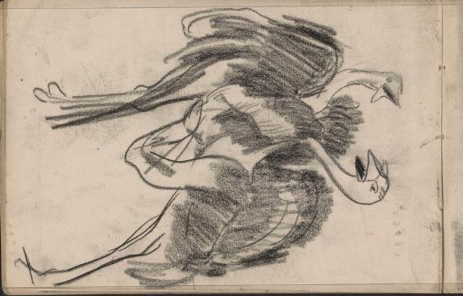 Two Birds with Open Beaks