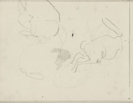Rabbits