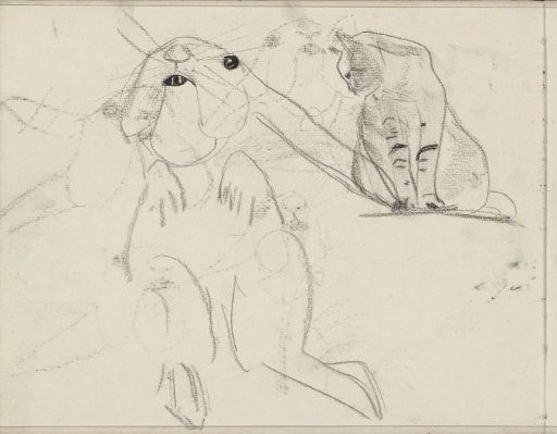 Rabbit and a Sitting Cat