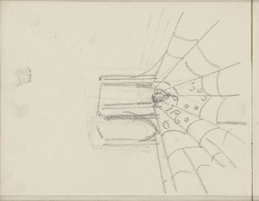 Study