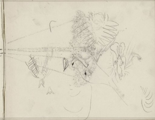 Study Sheet, Including a Face