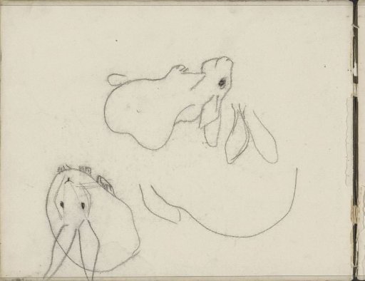 Rabbits