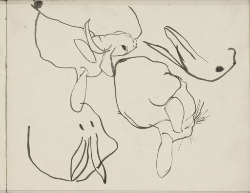 Rabbits
