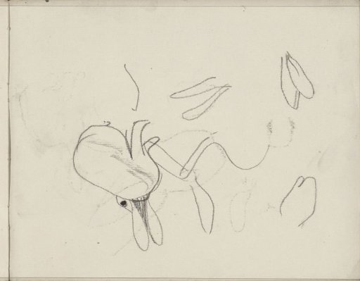 Rabbit and rabbit ears