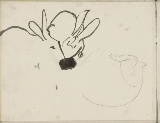 Rabbit