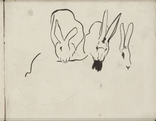 Rabbits