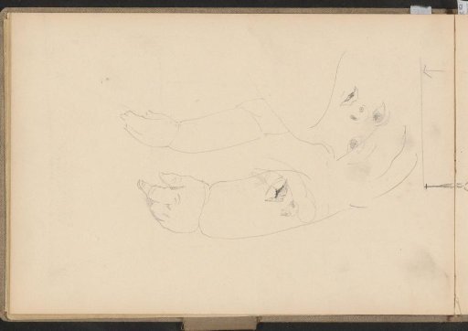 View, an arm and a hand