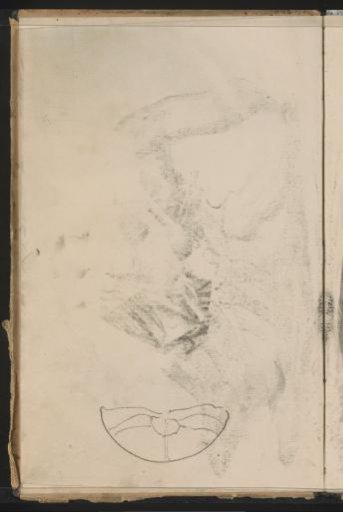 Study in the form of a half oval