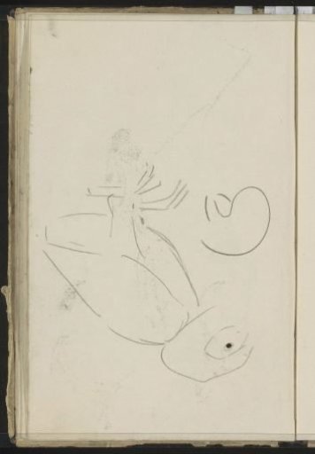 Parrot