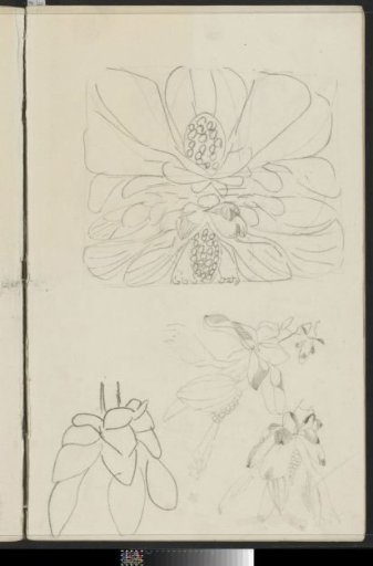 Ornaments with Flowers