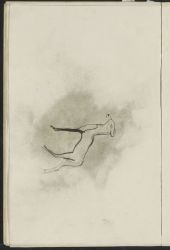 Stag