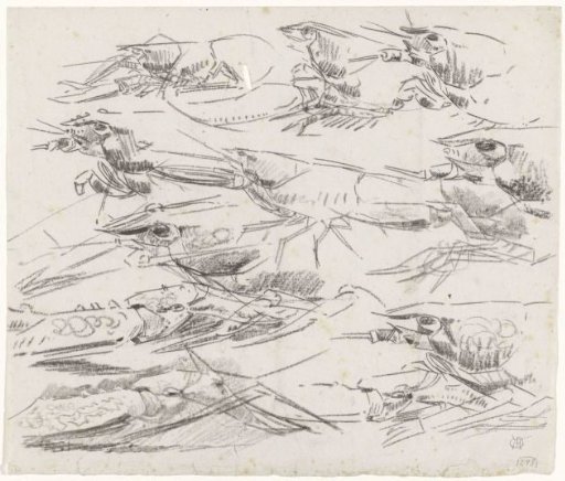 Crayfish