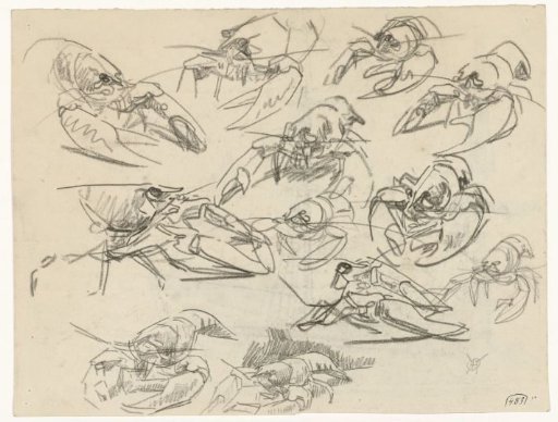 Crayfish