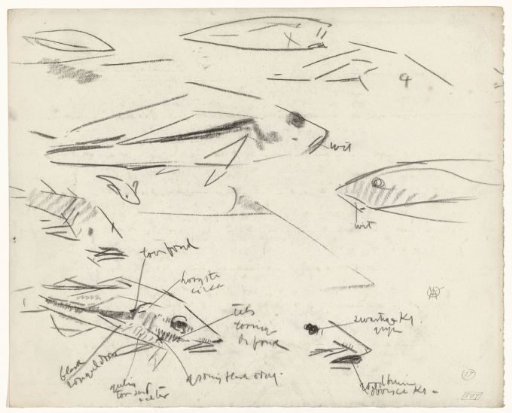 Studies of Fish