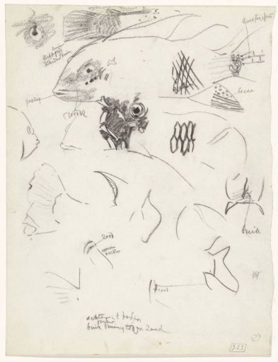 Detail Studies of Fish