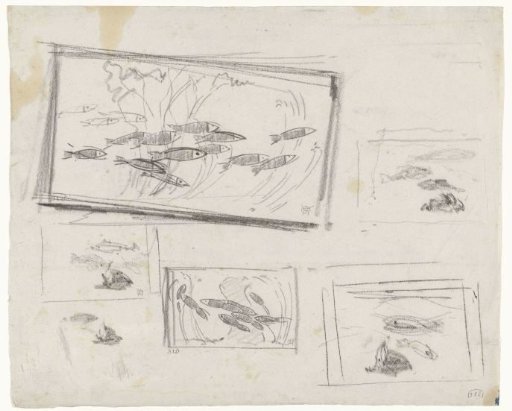 Composition Studies of Fish in an Aquarium