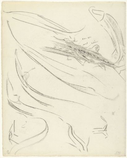 Studies of a Sterlet, with Color Notes