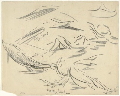 Detail and Movement Studies of a Sterlet