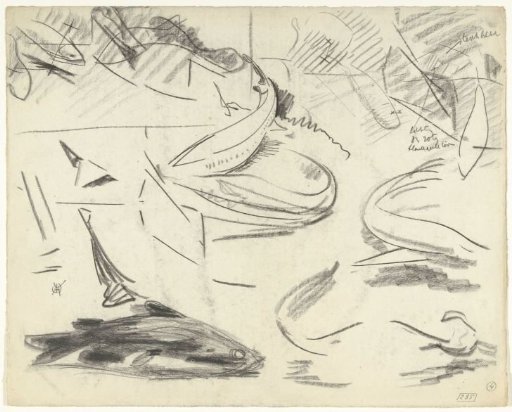 Study of a catfish and other fish