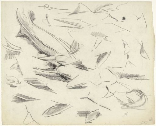 Studies of fins