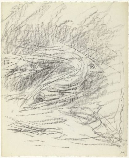 Sketch with fish