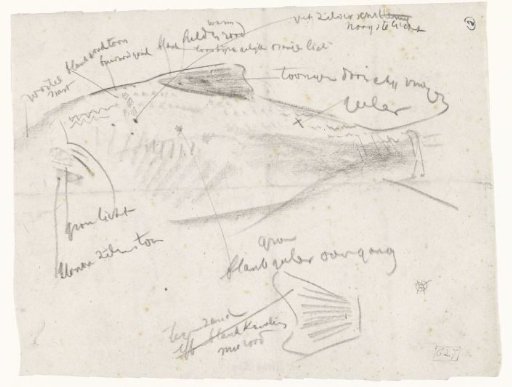Studies of a Fish, with Color Notes