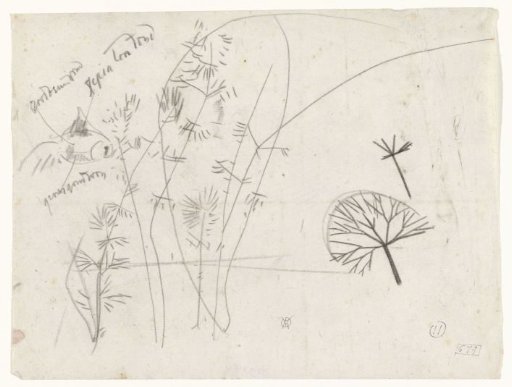 Aquatic plants with a fish, with color notes