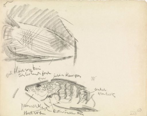 Two fish, including a gourami, with color notes