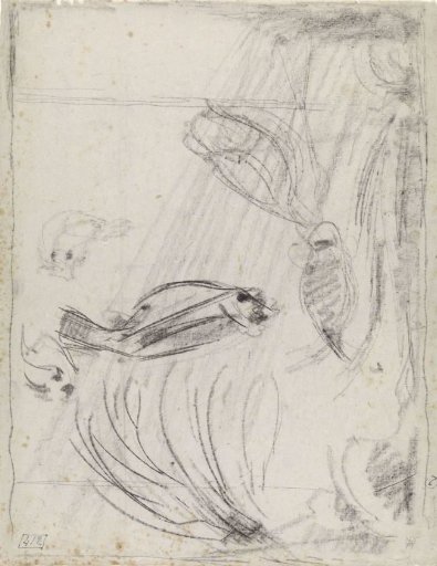 Fish in an aquarium