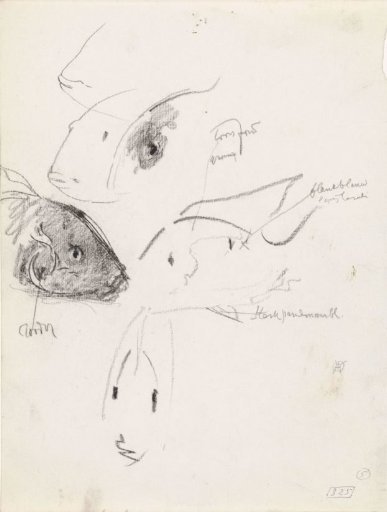 Studies of fish, with color notes