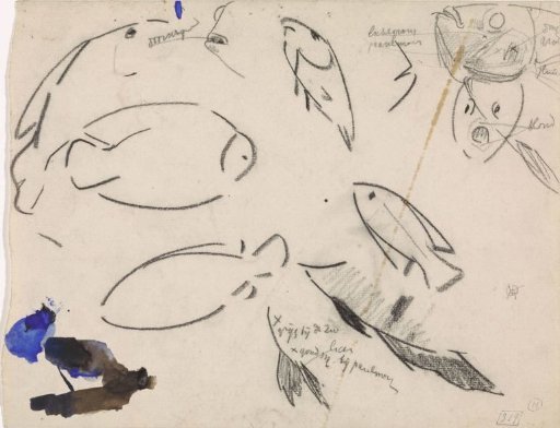 Studies of fish