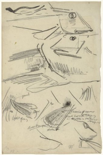 Detail studies of a pike