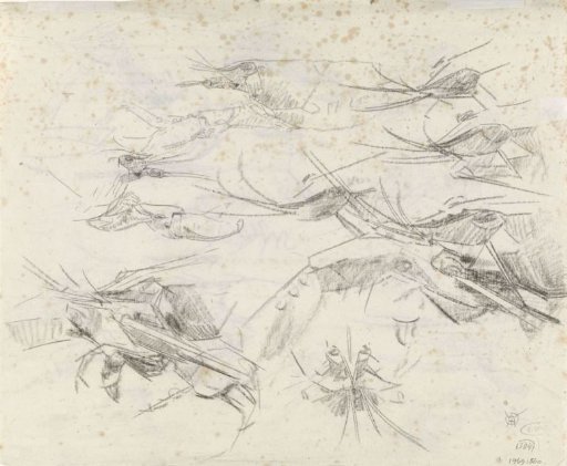 Crayfish