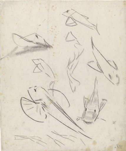 Studies of pikes
