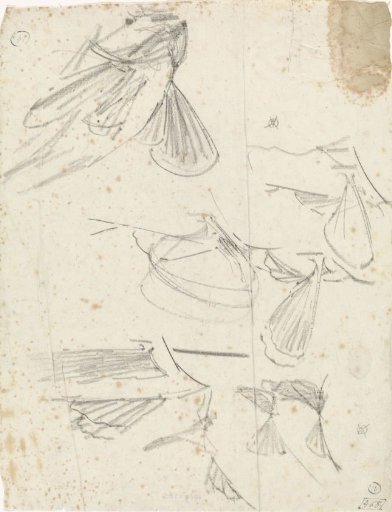 Studies of fins and a pike