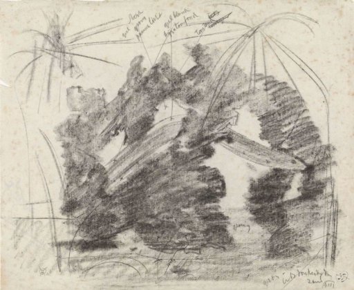 Aquarium with rock, fish, and water plants