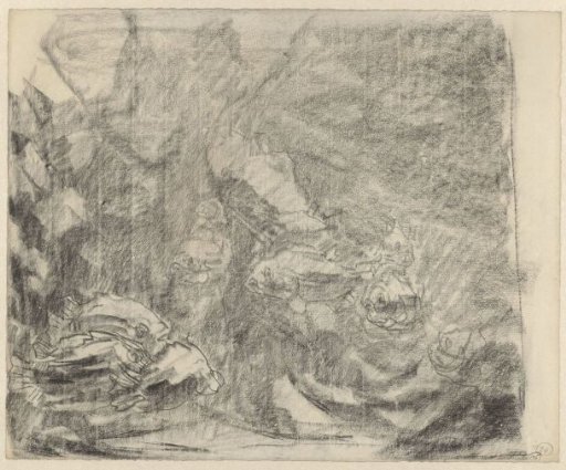 Aquarium with moray eels