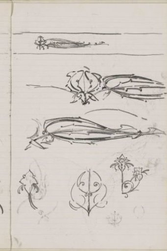 Floral ornaments and insects