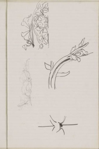 Floral ornaments