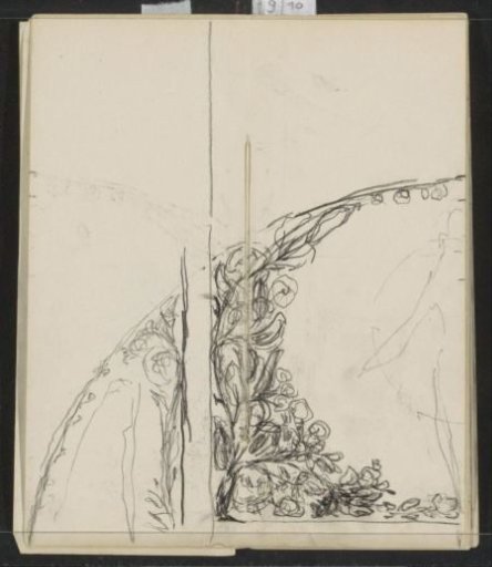Rose bush in a quarter of an oval