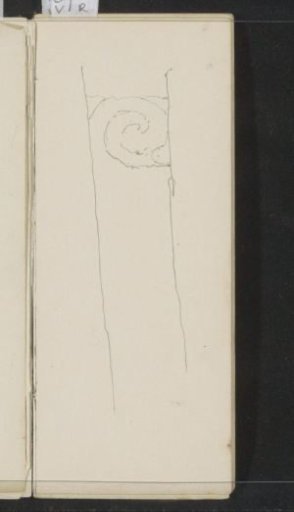 Ornament with scrollwork