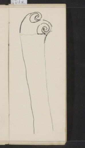 Ornament with scrollwork