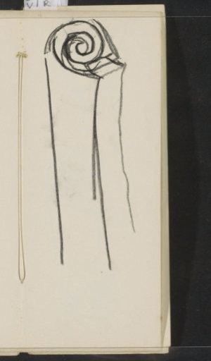 Ornament with scrollwork