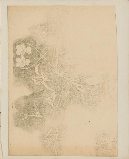 Ornament with leaves and flowers