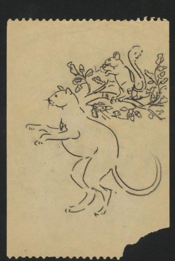 Squirrel in a tree and a kangaroo