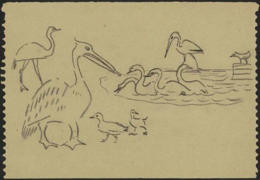 Waterfowl