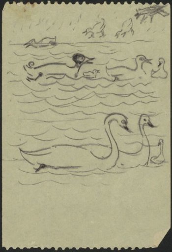Swans and ducks in the water